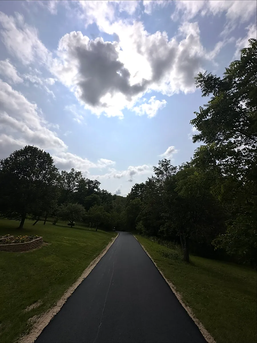 Shaded drive running up between the trees