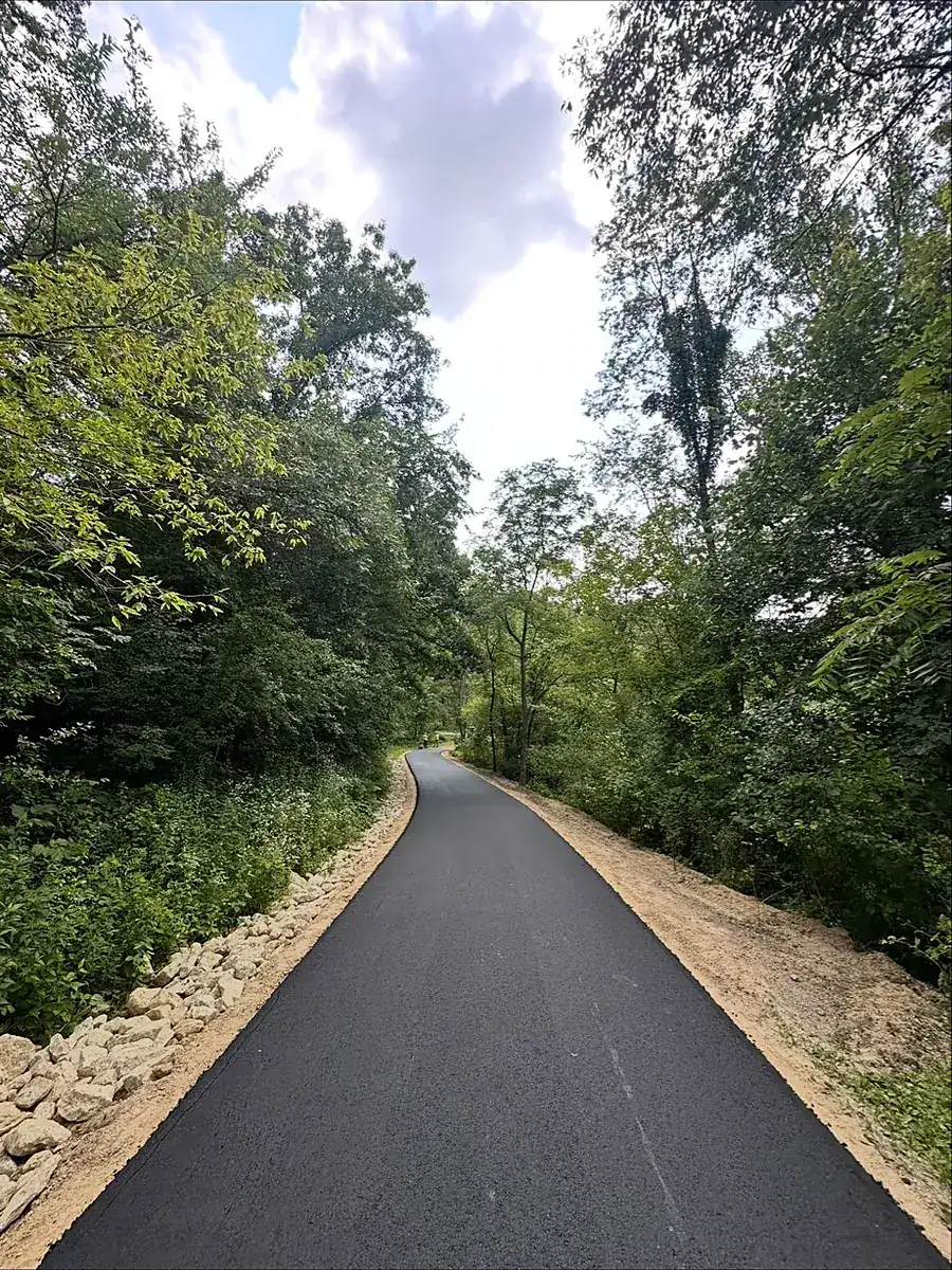 Narrow lane with a rock shoulder cut through the timber