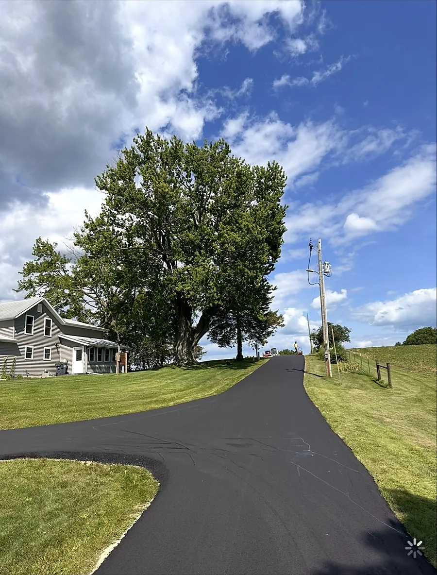 Drive curving past a farmhouse under big shade trees