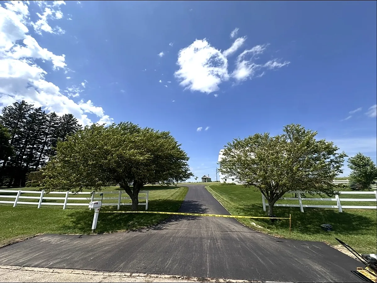 Tree-lined drive behind a white board fence